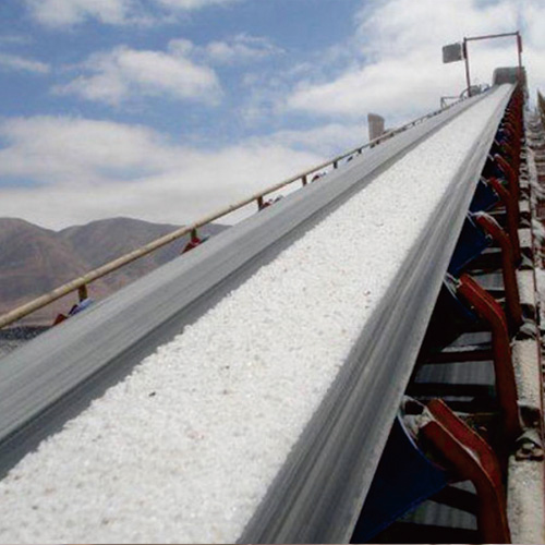 Acid & Alkali Resistant Conveyor Belt