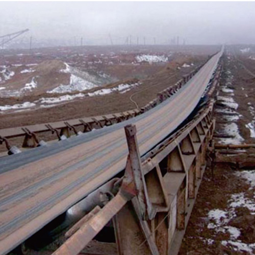 <strong>Cold Resistance Conveyor Belt</strong>