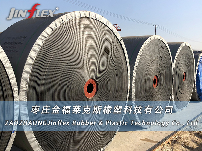 <strong>Introduce the steel wire rope core conve</strong>